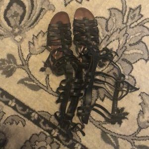 Steve Madden knee high gladiator sandals